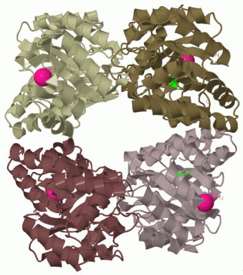 Image Biol.Unit 1 - manually