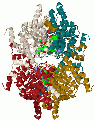 Image Biol.Unit 1 - manually