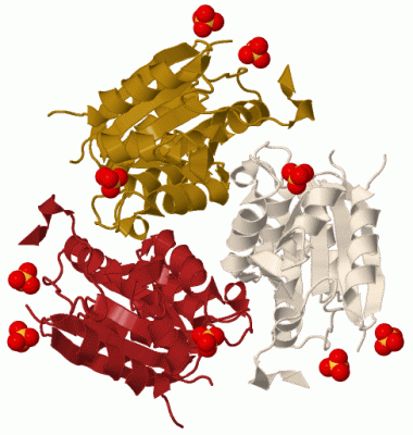 Image Biol.Unit 1 - manually