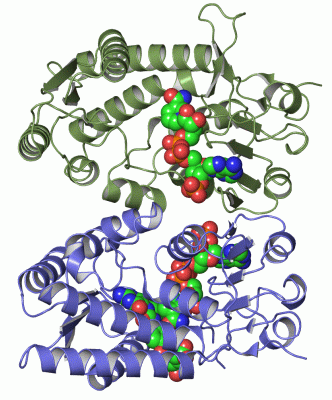 Image Asym./Biol. Unit - manually