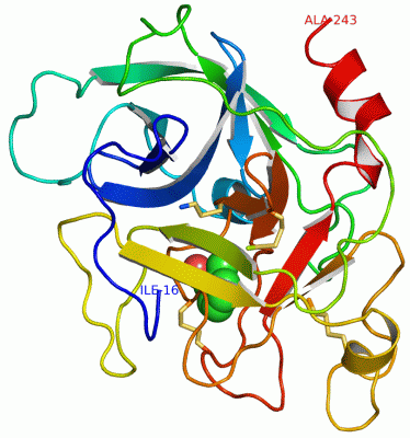 Image Asym./Biol. Unit - manually