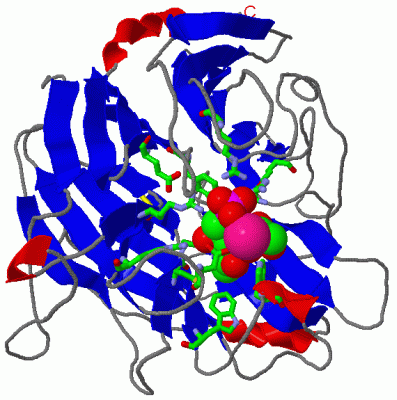 Image Asym./Biol. Unit - manually