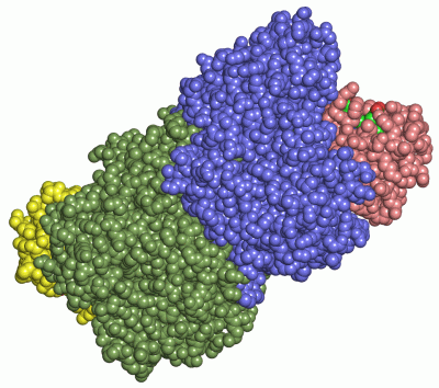 Image Asym./Biol. Unit - manually