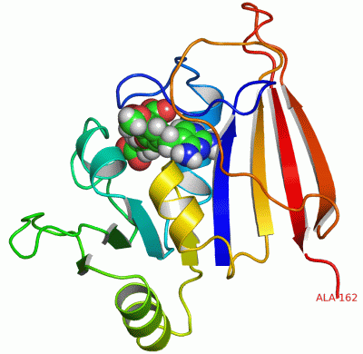 Image NMR Structure - manually