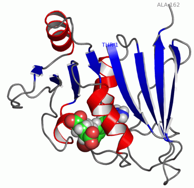 Image NMR Structure - manually