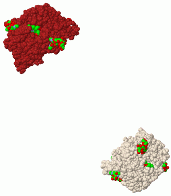 Image Biol.Unit 1 - manually