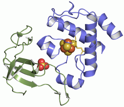 Image Asym./Biol. Unit - manually