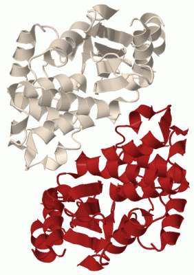 Image Asym./Biol. Unit - manually