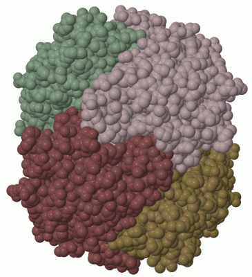 Image Biol.Unit 1 - manually