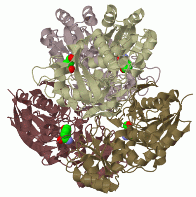 Image Biol.Unit 1 - manually