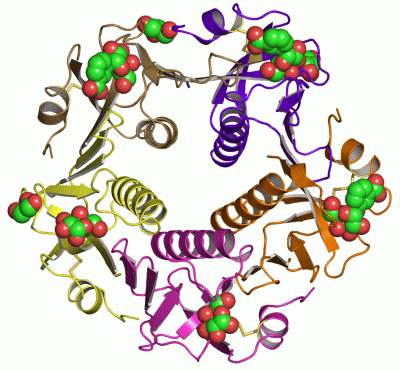 Image Asym./Biol. Unit - manually