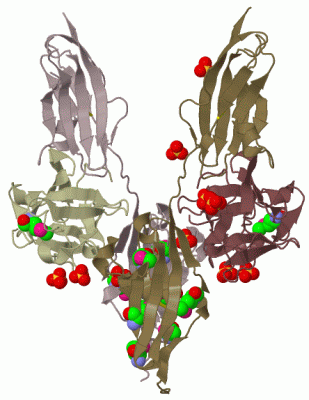 Image Biol.Unit 1 - manually