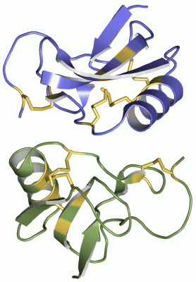 Image Asym./Biol. Unit - manually