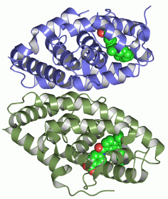 Image Asym./Biol. Unit - manually