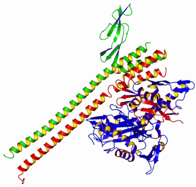 Image Asym./Biol. Unit - manually