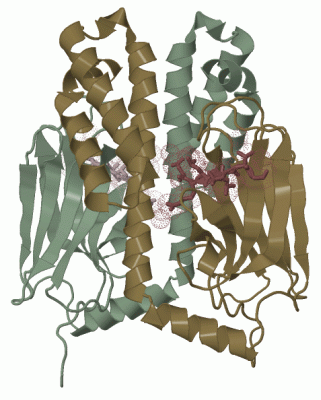 Image Biol.Unit 1 - manually