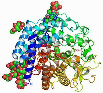 Image Asym./Biol. Unit - manually