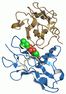 Image Asym./Biol. Unit - manually