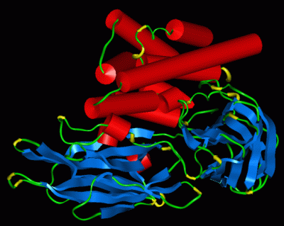 Image Asym./Biol. Unit - manually