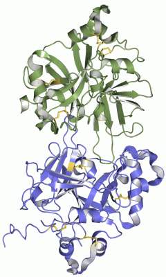 Image Asym./Biol. Unit - manually