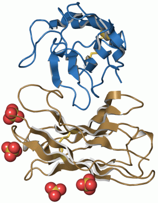 Image Asym./Biol. Unit - manually