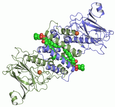 Image Asym./Biol. Unit - manually