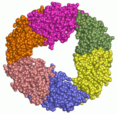 Image Asym./Biol. Unit - manually