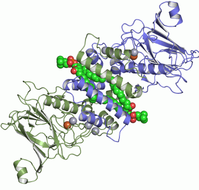 Image Asym./Biol. Unit - manually