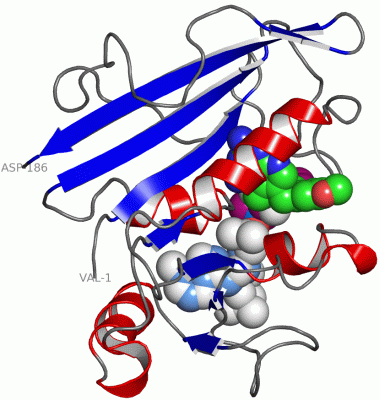 Image Asym./Biol. Unit - manually