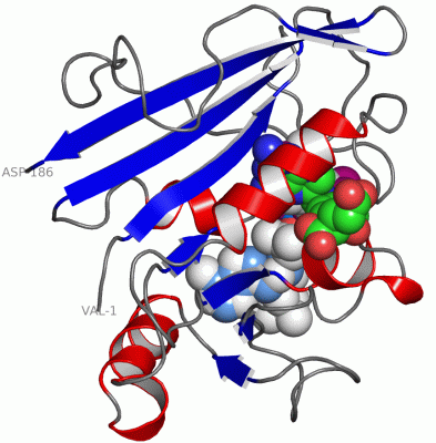 Image Asym./Biol. Unit - manually