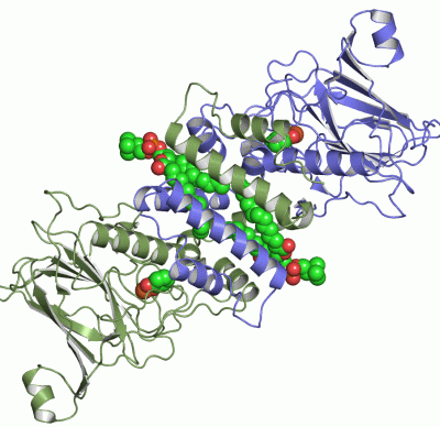 Image Asym./Biol. Unit - manually