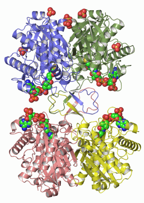 Image Asym./Biol. Unit - manually