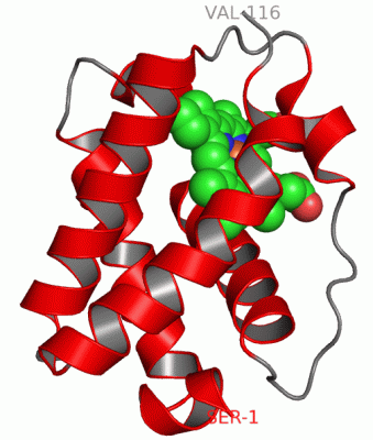 Image Asym./Biol. Unit - manually