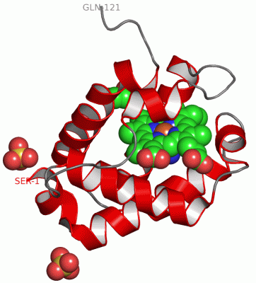 Image Asym./Biol. Unit - manually