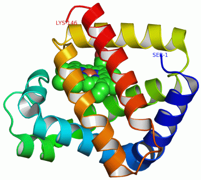 Image Asym./Biol. Unit - manually