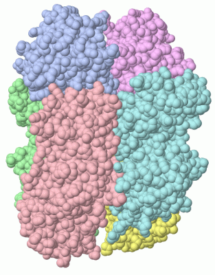 Image Asym./Biol. Unit - manually