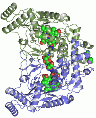 Image Asym./Biol. Unit - manually