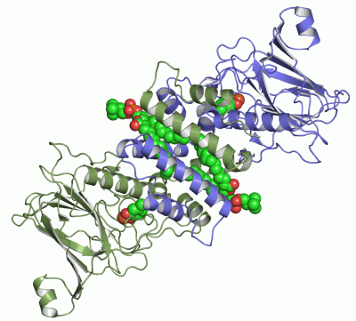 Image Asym./Biol. Unit - manually