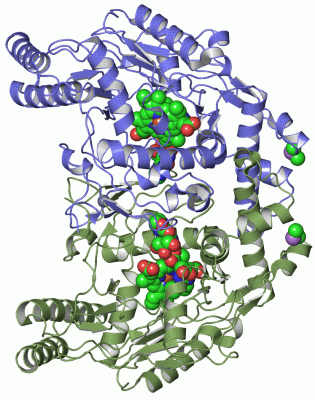 Image Asym./Biol. Unit - manually