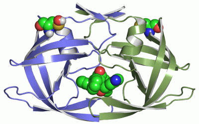 Image Asym./Biol. Unit - manually