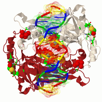 Image Biol.Unit 1 - manually