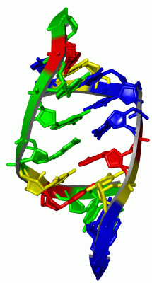 Image Asym./Biol. Unit - manually