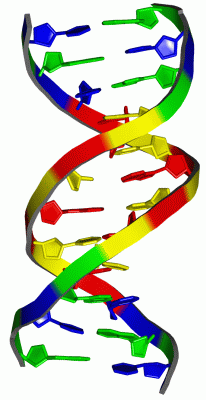 Image Asym./Biol. Unit - manually