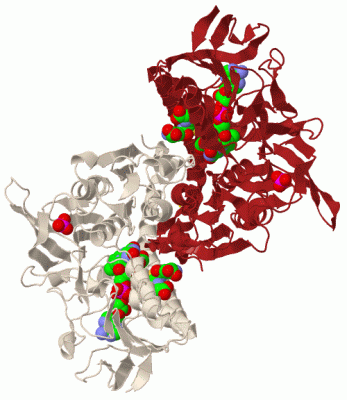 Image Biol.Unit 1 - manually