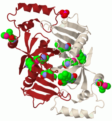 Image Biol.Unit 1 - manually