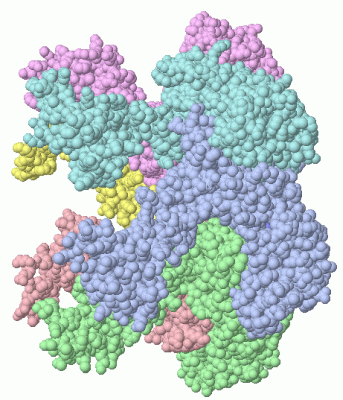 Image Asym./Biol. Unit - manually