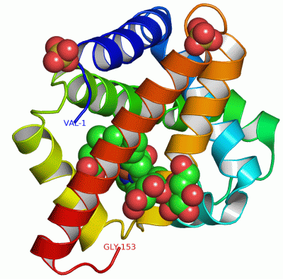 Image Asym./Biol. Unit - manually