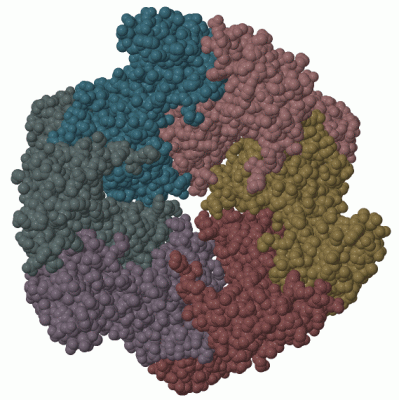 Image Biol.Unit 1 - manually