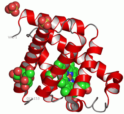 Image Asym./Biol. Unit - manually