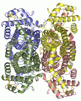 Image Asym./Biol. Unit - manually